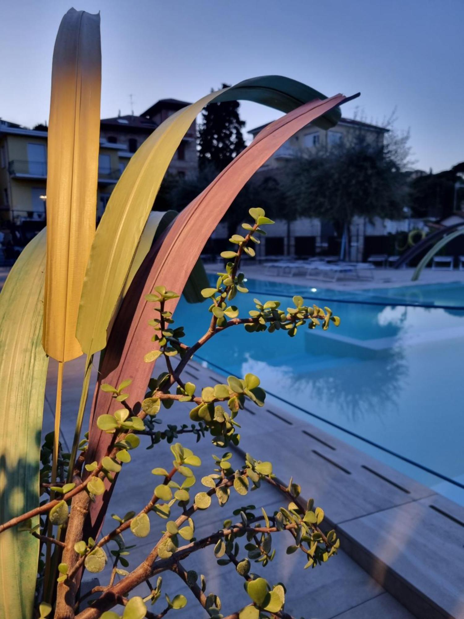 Hotel Villa Igea Diano Marina Zewnętrze zdjęcie