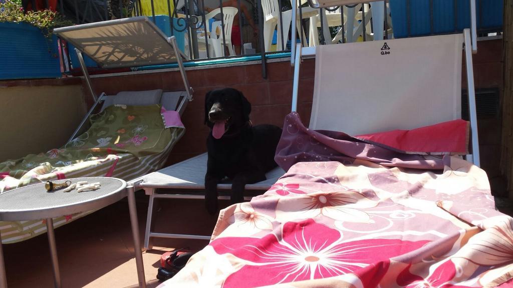 Hotel Villa Igea Diano Marina Zewnętrze zdjęcie